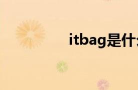 itbag是什么（It Bags）