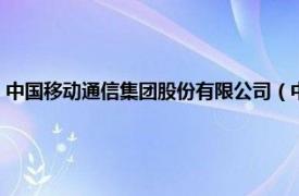 中国移动通信集团股份有限公司（中国移动通信集团公司在线服务分公司）