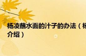 杨凌蘸水面的汁子的办法（杨凌蘸水面的汁怎么做相关内容简介介绍）