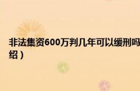 非法集资600万判几年可以缓刑吗（非法集资600万判几年相关内容简介介绍）