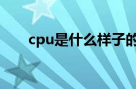 cpu是什么样子的图片（cpu是什么）