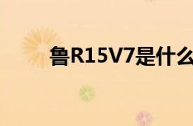 鲁R15V7是什么梗？相关内容简介