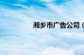 湘乡市广告公司（湘振墙体广告公司）