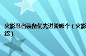 火影忍者装备优先进阶哪个（火影忍者装备进阶顺序是什么相关内容简介介绍）