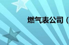 燃气表公司（中国燃气表网）