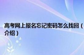 高考网上报名忘记密码怎么找回（高考报名密码忘了怎么找回相关内容简介介绍）