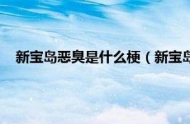 新宝岛恶臭是什么梗（新宝岛为什么恶臭相关内容简介介绍）