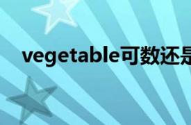 vegetable可数还是不可数 much many