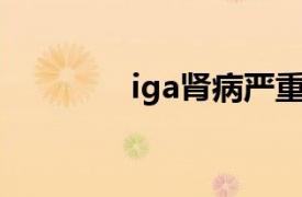 iga肾病严重吗（IgA肾病）