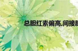 总胆红素偏高,间接胆红素偏高（总胆红素）