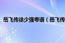 岳飞传徐少强粤语（岳飞传 1994年徐少强主演ATV港剧）