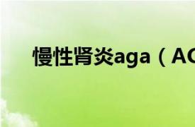 慢性肾炎aga（AGN 急性肾小球肾炎）