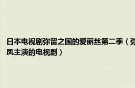 日本电视剧弥留之国的爱丽丝第二季（弥留之国的爱丽丝 日本2020年山崎贤人、土屋太凤主演的电视剧）