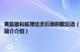 黄鼠狼和狐狸结亲后面的歇后语（关于黄鼠狼和狐狸结亲的歇后语相关内容简介介绍）