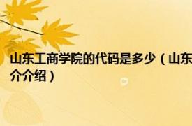 山东工商学院的代码是多少（山东工商管理学院学校代码是什么相关内容简介介绍）