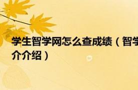 学生智学网怎么查成绩（智学网查询学生成绩如何查相关内容简介介绍）