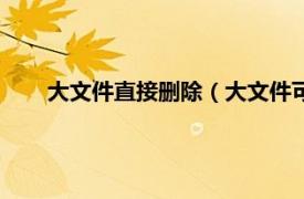 大文件直接删除（大文件可以删除吗相关内容简介介绍）