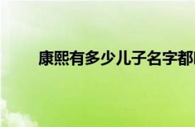 康熙有多少儿子名字都叫什么（康熙有多少儿子）