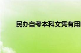 民办自考本科文凭有用吗（自考本科文凭有用吗）