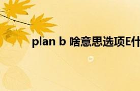 plan b 啥意思选项E什么意思（plan b 啥意思）