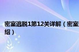 密室逃脱1第12关详解（密室逃脱1第12关怎么过相关内容简介介绍）