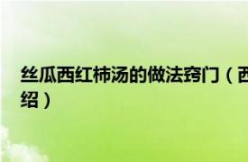 丝瓜西红柿汤的做法窍门（西红柿丝瓜汤的做法相关内容简介介绍）