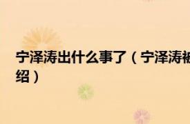 宁泽涛出什么事了（宁泽涛被开除的原因是什么相关内容简介介绍）