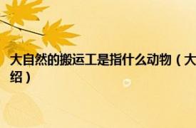 大自然的搬运工是指什么动物（大自然的搬运工是什么意思相关内容简介介绍）