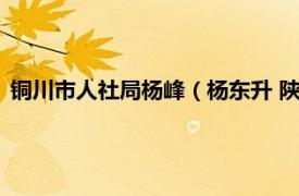 铜川市人社局杨峰（杨东升 陕西省铜川市人才交流中心原主任）