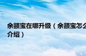 余额宝在哪升级（余额宝怎么升级余额宝升级流程相关内容简介介绍）