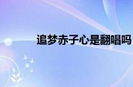 追梦赤子心是翻唱吗（追梦赤子心原唱是谁）