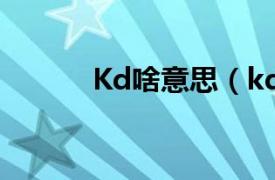 Kd啥意思（kd是什么意思呀?）