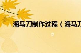 海马刀制作过程（海马刀怎么用相关内容简介介绍）