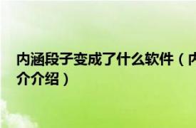 内涵段子变成了什么软件（内涵段子改成什么软件了相关内容简介介绍）