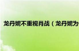 龙丹妮不重视肖战（龙丹妮为什么不管肖战相关内容简介介绍）