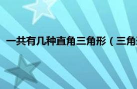 一共有几种直角三角形（三角形有几个直角相关内容简介介绍）