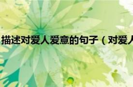 描述对爱人爱意的句子（对爱人表达爱的句子相关内容简介介绍）