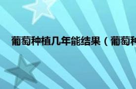 葡萄种植几年能结果（葡萄种几年能结果相关内容简介介绍）