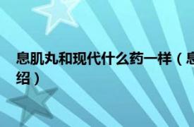 息肌丸和现代什么药一样（息肌丸在现代叫什么相关内容简介介绍）