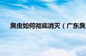 臭虫如何彻底消灭（广东臭虫怎么消灭相关内容简介介绍）