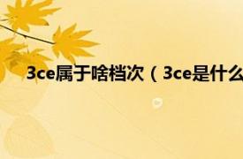 3ce属于啥档次（3ce是什么级别的牌子相关内容简介介绍）