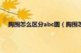 胸围怎么区分abc图（胸围怎么区分abc相关内容简介介绍）