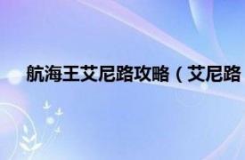 航海王艾尼路攻略（艾尼路 《航海王强者之路》游戏角色）