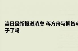 当日最新报道消息 蒋方舟与柳智宇是恋人吗 揭北大才子当和尚原因结婚生子了吗