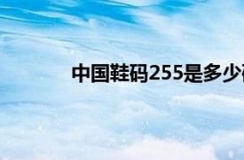 中国鞋码255是多少码（鞋码255是多少码）