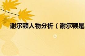 谢尔顿人物分析（谢尔顿是真实人物吗相关内容简介介绍）