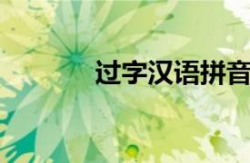 过字汉语拼音（过 汉语文字）