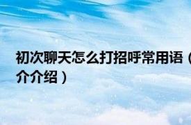 初次聊天怎么打招呼常用语（聊天第一句怎么打招呼相关内容简介介绍）