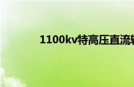 1100kv特高压直流输电（特高压直流输电）