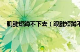 肌腱短蹲不下去（跟腱短蹲不下去怎么练相关内容简介介绍）